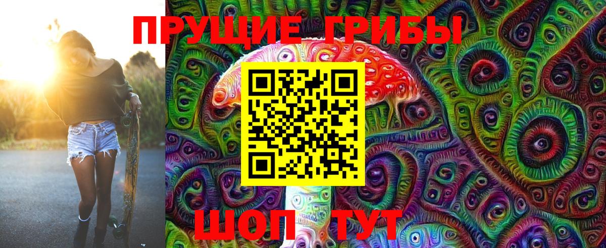 Псилоцибиновые грибы Psilocybe  Вход с VPN  где найти   Копейск  Псилоцибиновые грибы GOLDEN TEACHER 